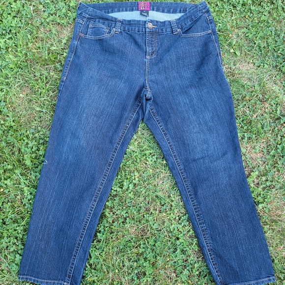 torrid Denim - Torrid Size 24 Jeans Super Cute!